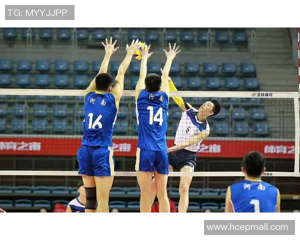 南京排球队的转型之路:从传统强队到现代竞技新标杆的奥运追梦之旅